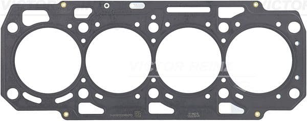 Garnitura, chiulasa REINZ 61-10032-10