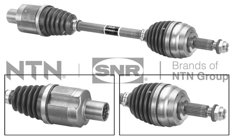 Planetara SNR DK55.229