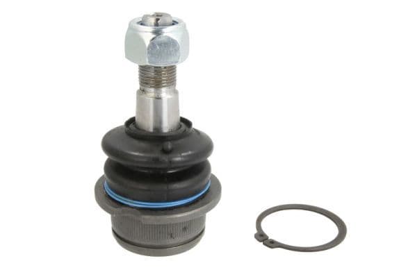 Pivot REINHOCH RH03-0030