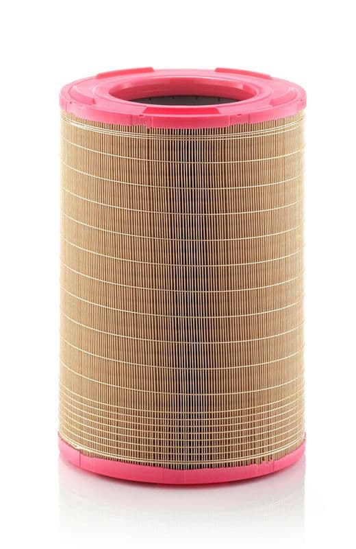 Filtru aer MANN-FILTER C 31 1255