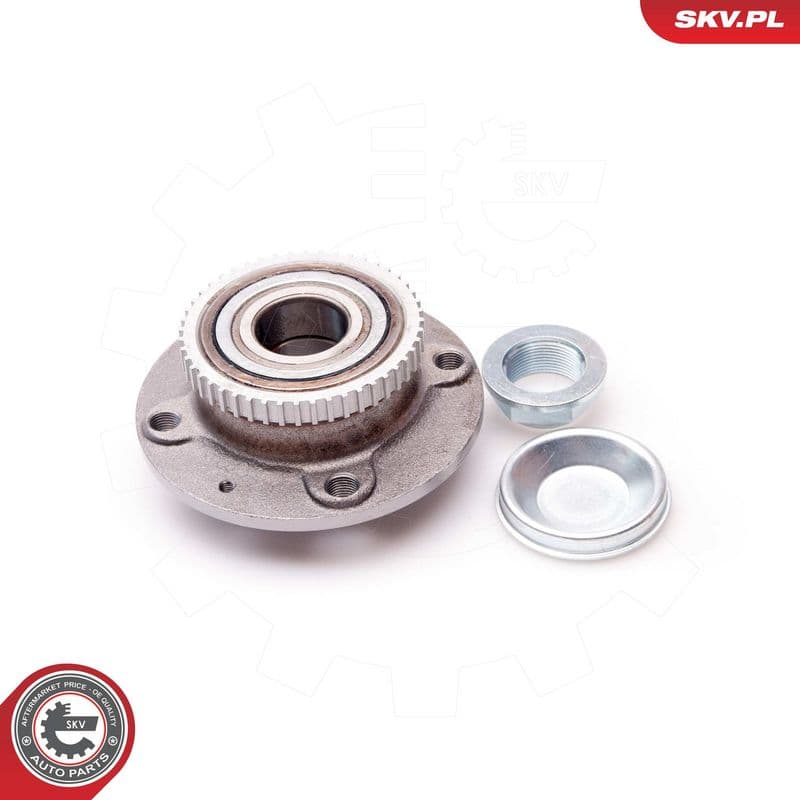 Set rulment roata ESEN SKV 29SKV101