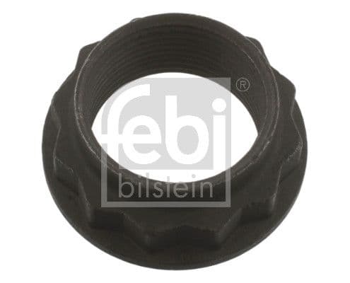 Piuliță, arbore de intrare (diferențial) FEBI BILSTEIN 36662