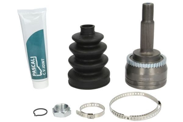Set articulatie, planetara PASCAL G15029PC