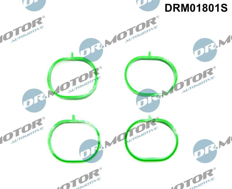 Set garnituri, galerie admisie Dr.Motor Automotive DRM01801S