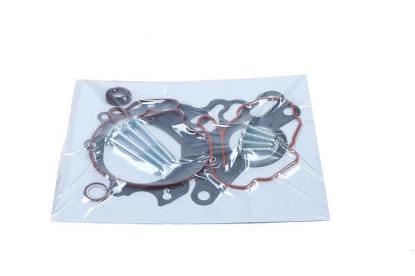 Set reparatie, pompa vacuum (Siste frana) MAXGEAR 27-2016