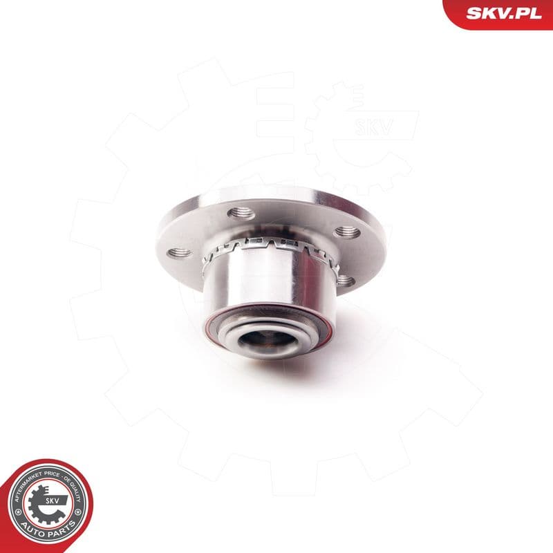 Set rulment roata ESEN SKV 29SKV005