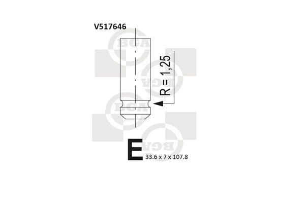 Supapa evacuare BGA V517646