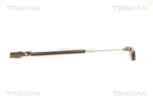 Amortizor portbagaj TRISCAN 8710 14232