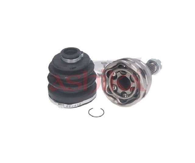 Set articulatie, planetara ASHIKA 62-05-532