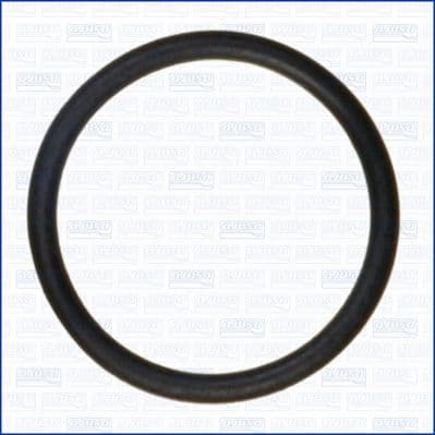garnitura,conducta lichid de racire AJUSA 16080200