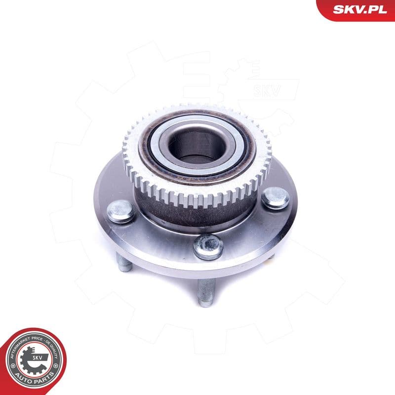 Set rulment roata ESEN SKV 29SKV383