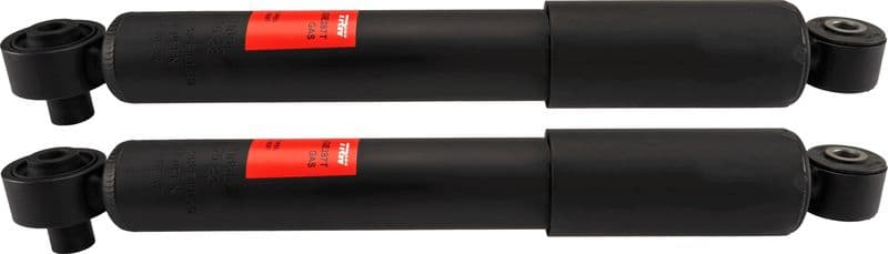 amortizor TRW TWIN JGE287T