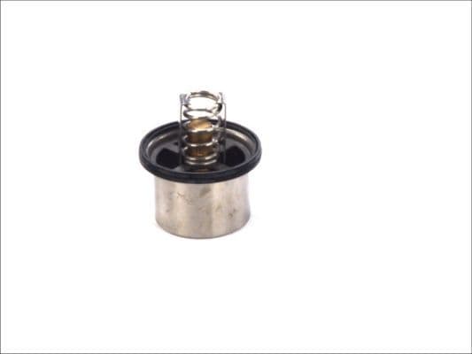 termostat,lichid racire THERMOTEC D2VO002TT