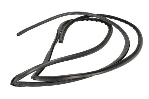 Garnitura, parbriz BLIC 5703-04-6037257Q