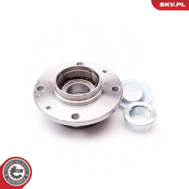 Set rulment roata ESEN SKV 29SKV153
