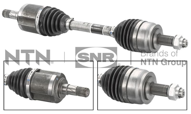 Planetara SNR DK58.019
