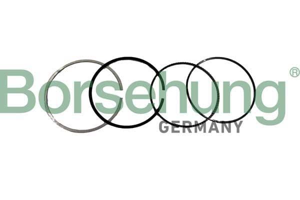 Set segmenti piston BORSEHUNG B10371