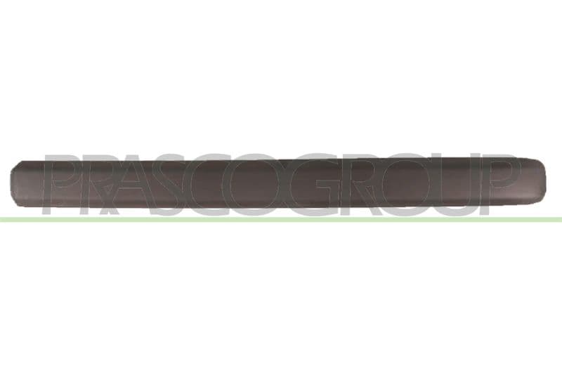 Elemente decorative/protectie, portiera PRASCO FT9091403