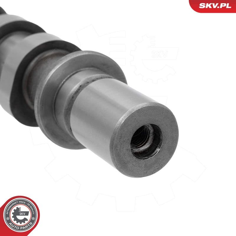 Ax cu came ESEN SKV 80SKV078