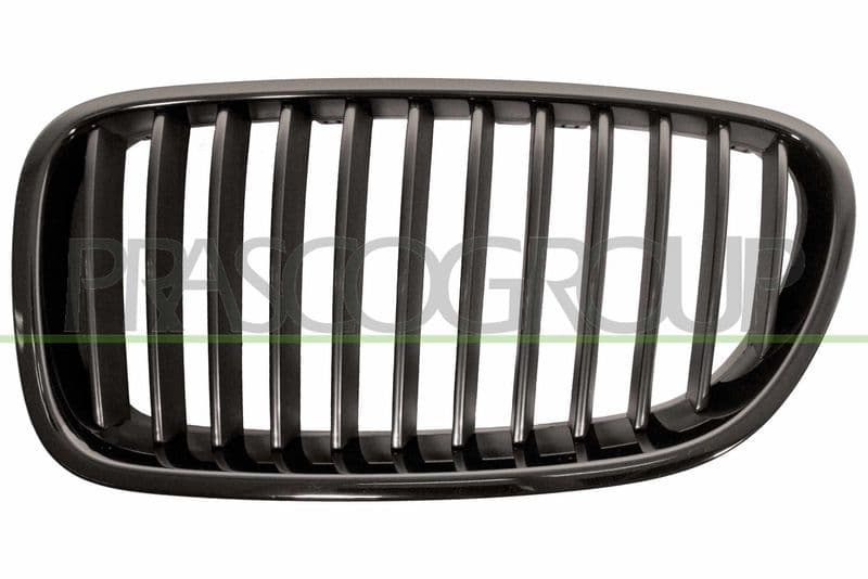 Grila radiator PRASCO BM0492004