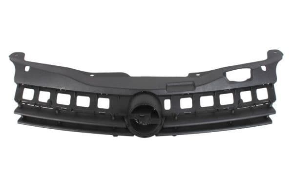 Grila radiator BLIC 6502-07-5052990P