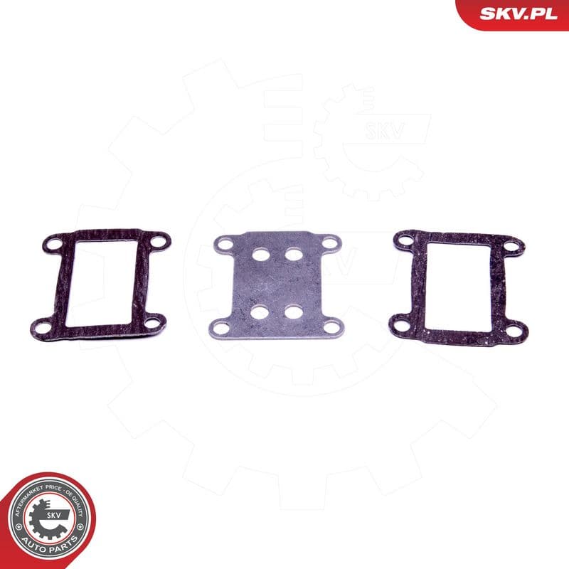 Set de reparație, supapă AGR ESEN SKV 14SKV524
