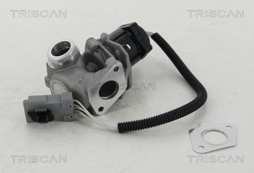 Supapa EGR TRISCAN 8813 16008