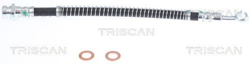 Furtun frana TRISCAN 8150 43181