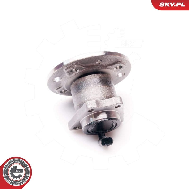 Set rulment roata ESEN SKV 29SKV113