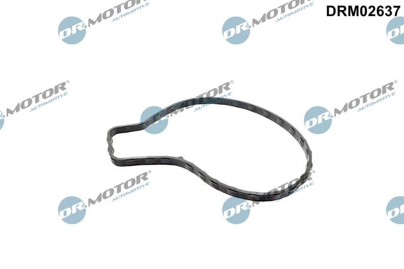 Garnitura, pompa de apa Dr.Motor Automotive DRM02637