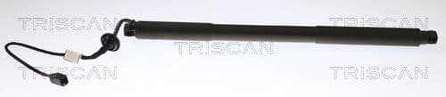 Amortizor portbagaj TRISCAN 8710 27302