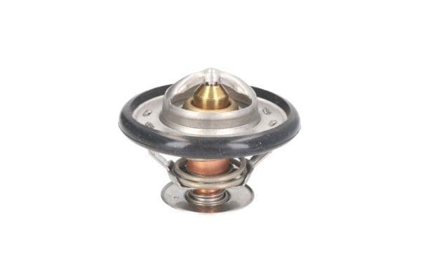 termostat,lichid racire THERMOTEC D2DE001TT