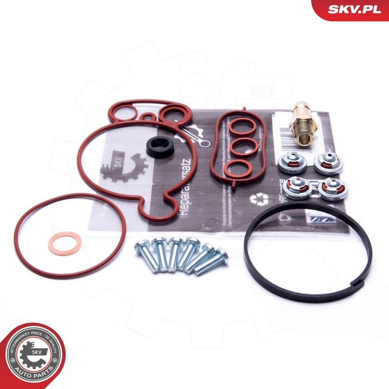 Set reparatie, pompa vacuum (Siste frana) ESEN SKV 18SKV805