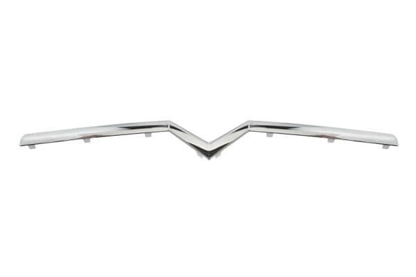 Banda de protectie, grila radiator BLIC 6502-07-0537992P
