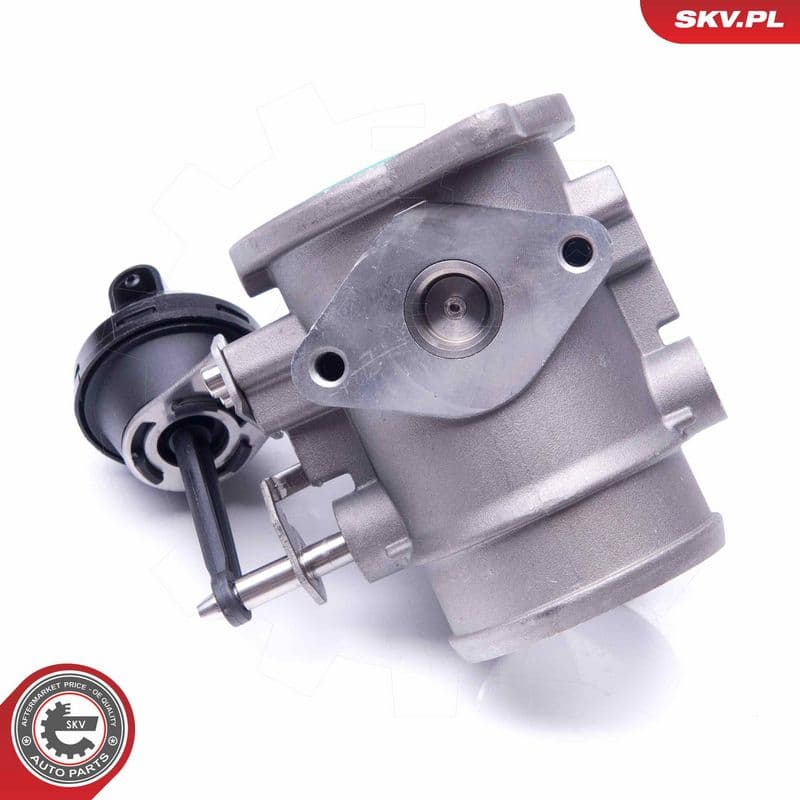 Supapa EGR ESEN SKV 14SKV106