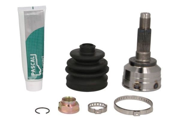 Set articulatie, planetara PASCAL G10319PC