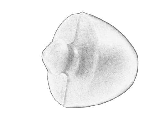 Tampon cauciuc, suspensie S-TR STR-1201246