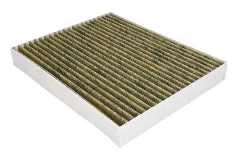 Filtru, aer habitaclu MANN-FILTER FreciousPlus FP 24 024