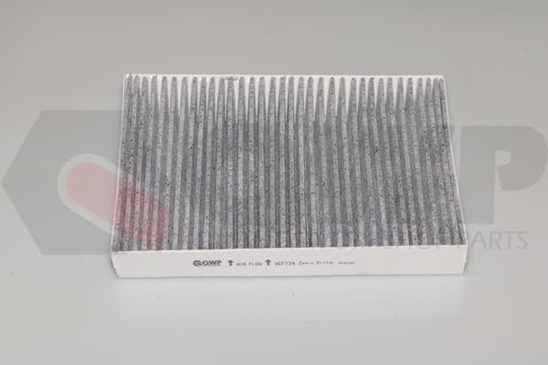 Filtru, aer habitaclu QWP WCF734