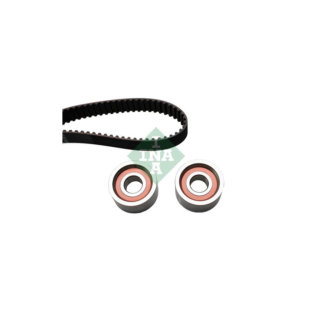 Set curea de distributie Schaeffler INA 530 0113 10