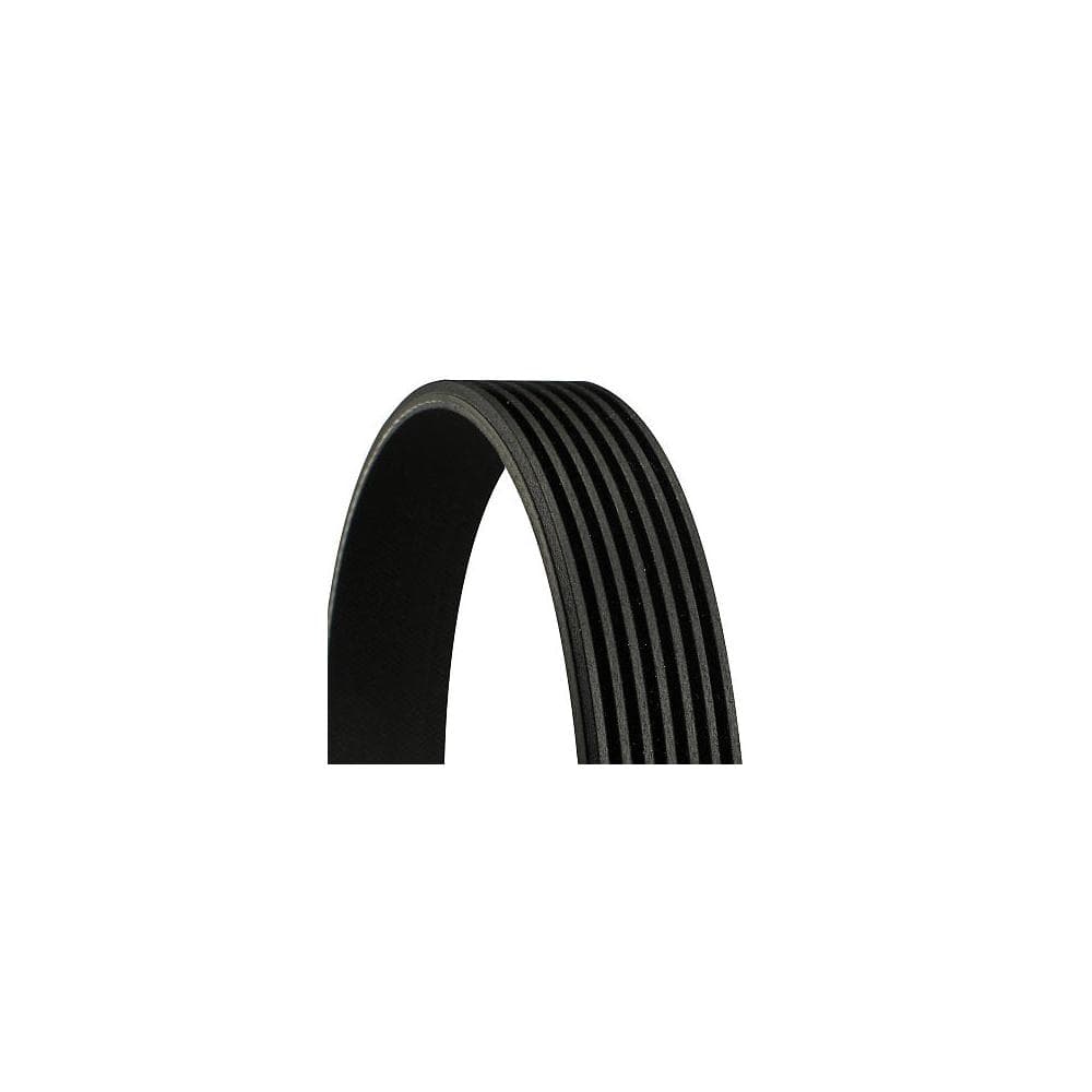 Curea transmisie cu caneluri CONTINENTAL CTAM 7PK2875