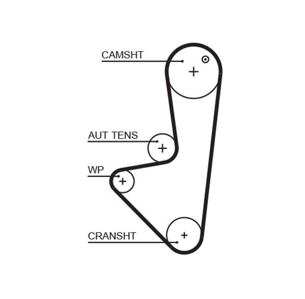 Curea de distributie GATES 5575XS