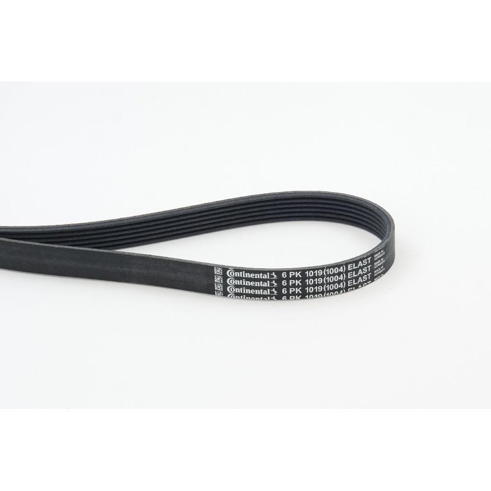 Curea transmisie cu caneluri CONTINENTAL CTAM 6PK1019 ELAST
