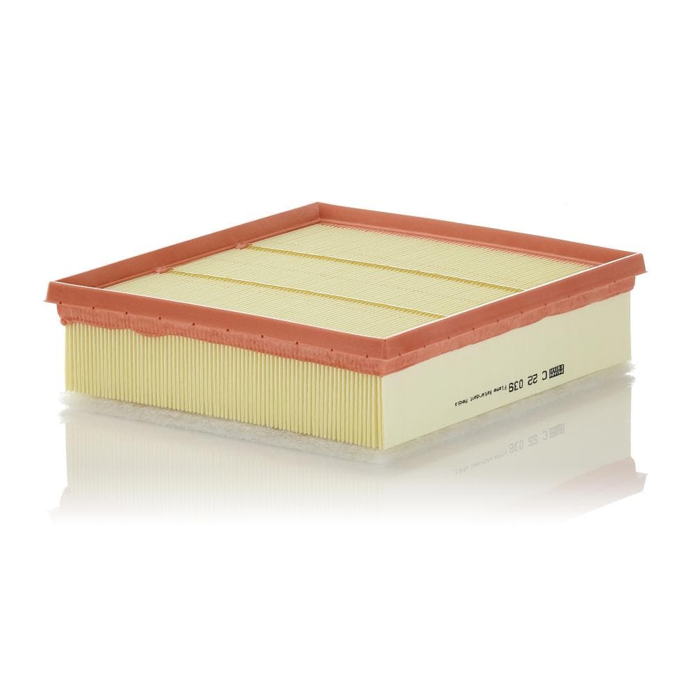 Filtru aer MANN-FILTER C 22 039