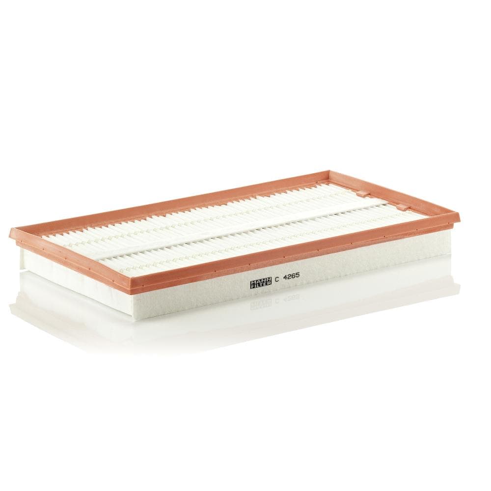 Filtru aer MANN-FILTER C 4265