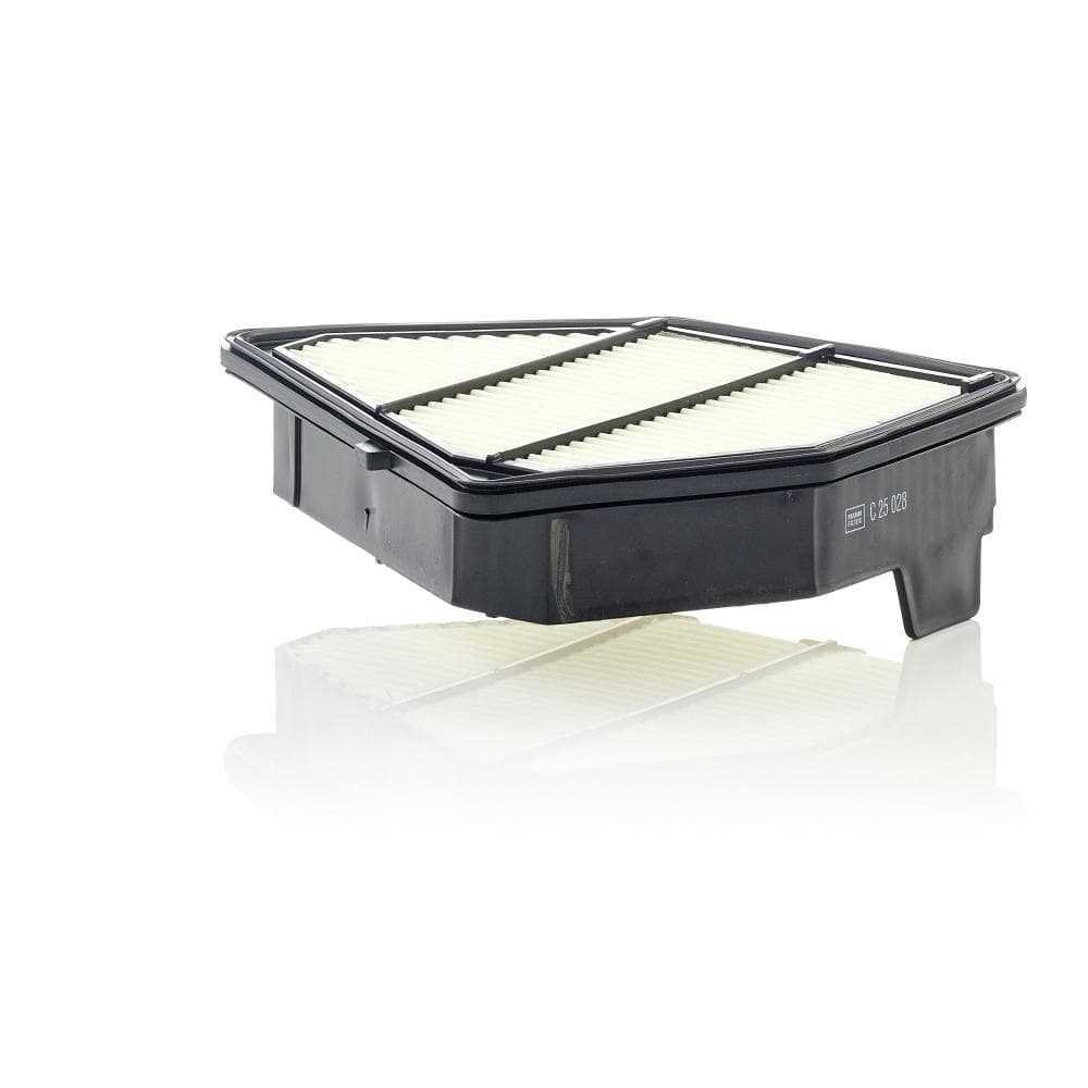 Filtru aer MANN-FILTER C 25 028