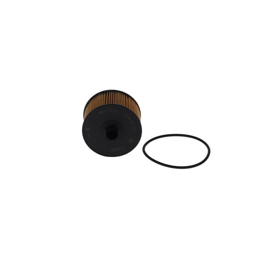 Filtru ulei BOSCH F 026 407 231