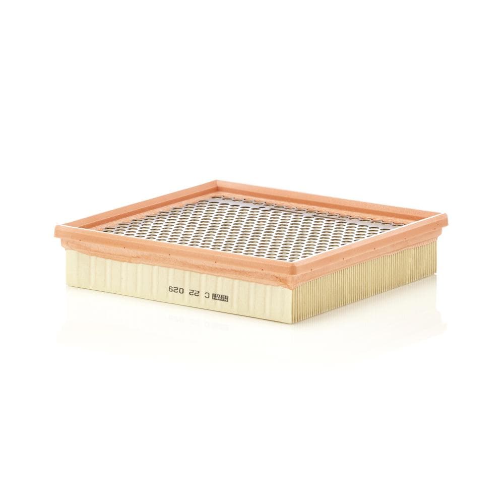 Filtru aer MANN-FILTER C 22 029