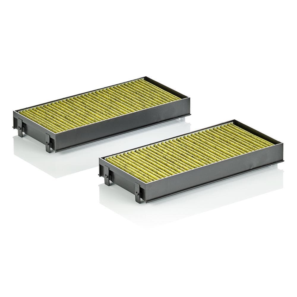 Filtru habitaclu MANN-FILTER FP 2941-2