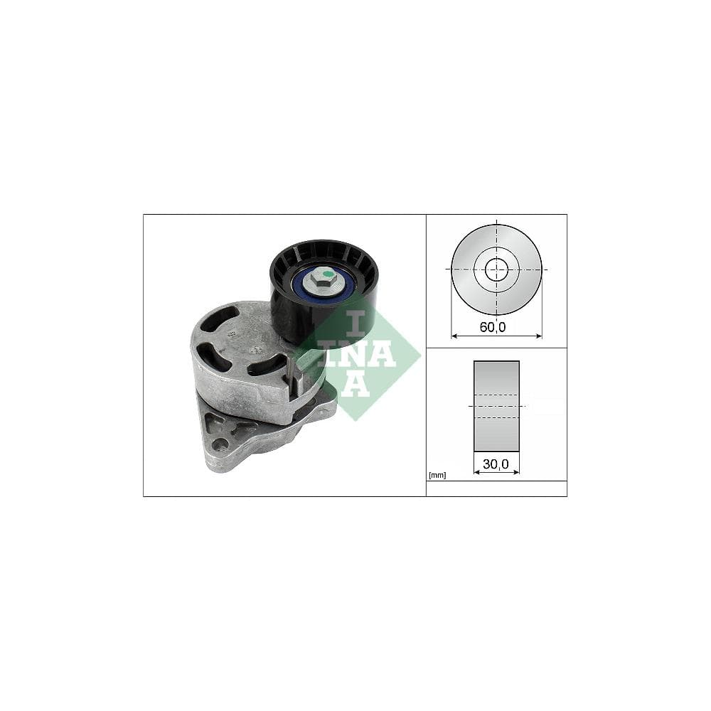 Intinzator curea, curea distributie Schaeffler INA 534 0181 10